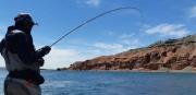 Villa El Chocón: vuelve el curso gratuito de pesca con mosca con salida práctica en la Boca del Sapo