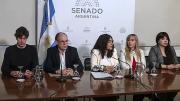 Anticonstitucional: rechazo en el Senado al ataque del Gobierno a la libertad de expresión