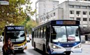 Mar del Plata: el domingo no habrá transporte gratuito pese a la medida provincial