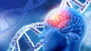 Cáncer en el cerebro: este es el sorprendente hallazgo de la Universidad de Cambridge para frenar la propagación del tumor