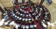El Senado debate el veto de Milei a la Emergencia en Discapacidad y la regulación de los DNU