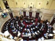El Senado podría revertir definitivamente el veto a la discapacidad