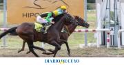 “El Mau”, “Asiatic King” y “Señor Importante”, algunos de los nombres del clásico Sarmiento reservado para caballos locales