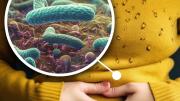 Qué es Helicobacter pylori, la bacteria “silenciosa” que afecta al 50 por ciento de los argentinos