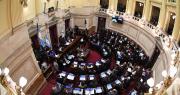 El Senado rechazó el veto de Javier Milei y reactivó la Ley de Emergencia en Discapacidad