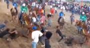 Investigarán a personas que se viralizaron por agredir brutalmente a un toro durante una feria en Lara