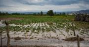 San Juan bajo la lluvia: los departamentos más ‘mojados’ y un regalo del cielo para algunos