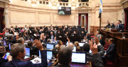 Senado: la oposición aprobó los límites al uso de los DNU presidenciales