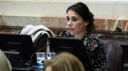 Emergencia en Discapacidad: cómo votaron los senadores de Neuquén y Río Negro el rechazo al veto de Javier Milei