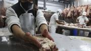 Reponen barrera sanitaria