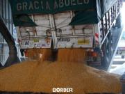 El Gobierno ya no fijará tarifas para el transporte de cargas del sector agroindustrial