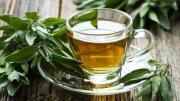 Azúcar alta: cómo preparar el té de salvia que ayuda a controlar la glucosa en sangre