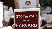 Jueza federal frena a Donald Trump en el caso Harvard