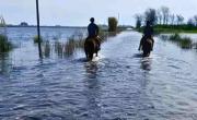 Provincia declaró la emergencia agropecuaria en diez distritos