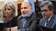 Discapacidad y DNU: cómo votaron los senadores del Chaco en la jornada que complicó a Milei