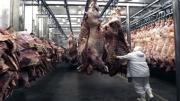 Tierra del Fuego suspendió el ingreso de asado con hueso: “Chile ya no nos reconoce como libre de aftosa”