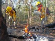 Disminuyen los focos de calor y sofocan 86 incendios forestales