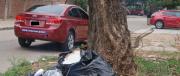 Hallan un bebé muerto entre la basura