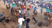 (VIDEO) MP abrió investigación por brutal agresión a un toro en feria de Tintorero, Edo Lara