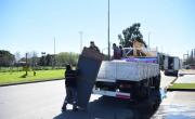 Operativo limpieza electoral en las calles de La Plata: por la veda, retiran carteles de candidatos