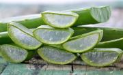 No solo es bueno para la piel: el poder de comer aloe vera cruda