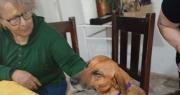 Uno de los perros hallados en la estremecedora escena de Pocito encontró un hogar