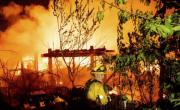 Incendios forestales: alertan por su enorme impacto