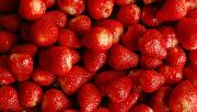 ¿Cómo conservar mejor las frutillas y aprovecharlas el resto del año?