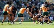 Los Pumas cayeron ante Australia en una nueva fecha del Rugby Championship