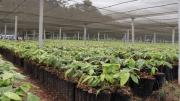 TCP ratifica que Alto Beni es municipio libre de minería y fortalece su modelo agroecológico