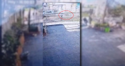Arrastró a un perro con el auto en La Plata durante varios metros, quedó filmada y los vecinos la escracharon