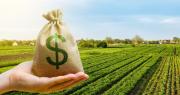 Este fondo busca startups del agro para ayudarlas a escalar: invierten hasta u$s 500.000