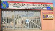 Torno narco: la trama del caso que liga a un salteño con el envío de 500 kilos de cocaína a España