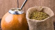¿Es mejor consumir yerba mate con o sin palo?