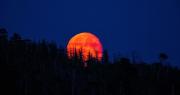 La Luna de Sangre teñirá el cielo con un eclipse lunar total y marcará un evento astronómico inolvidable