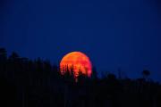 Cuatro poderosos rituales para hacer durante la Luna de sangre de hoy