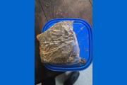 Frustran intento de ingresar marihuana en un recipiente con alimentos a la Comisaría N° 49