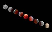 Eclipse lunar en vivo: así se ve la Luna de Sangre este 7 de septiembre