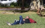 El invierno se despide: confirman que esta semana arrancan la temperaturas primaverales con sol y poca probabilidad de lluvia