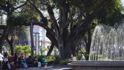 El tiempo en Tucumán: la semana arranca soleada y se espera mucho calor