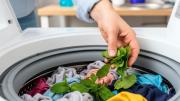 Lavar la ropa con menta: por qué recomiendan hacerlo y para qué sirve