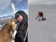 Un perro callejero se coló en una expedición y subió la montaña más alta de Rusia