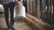 Crisis en el sector tambero ante el exceso de agua en los caminos rurales: “El 50% de las hectáreas están bajo agua”