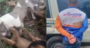 Imputaron a hombre que se viralizó tras incitar a su pitbull que atacara brutalmente a otro perrito, esto reveló Saab
