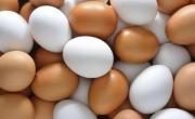 Para aprovechar todas las proteínas: esta es la mejor forma de cocinar los huevos según los expertos