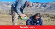 Monitoreo de niveles freáticos en Lago Posadas, un trabajo articulado para el desarrollo productivo