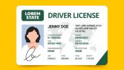 Licencia de conducir en Florida: documentos necesarios para inmigrantes y no-inmigrantes