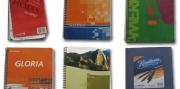 Los cuadernos de las coimas: quiénes son los ex funcionarios y empresarios que buscan una reparación integral para evitar el juicio