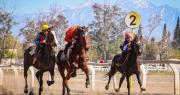 La cantera del turf sanjuanino: así funciona la escuelita que forma a los jockeys del futuro