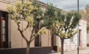 El pueblo de Buenos Aires más antiguo que queda a solo 2 horas de CABA: sus calles existen hace 410 años